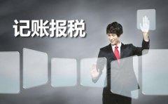 国家税务总局：将加大打击骗税和虚开工作力度